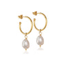 Irregular Baroque Pearl Hoop Stud Earrings in Gold