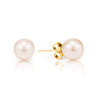 White Akoya Pearl Stud Earrings, 14K Yellow Gold